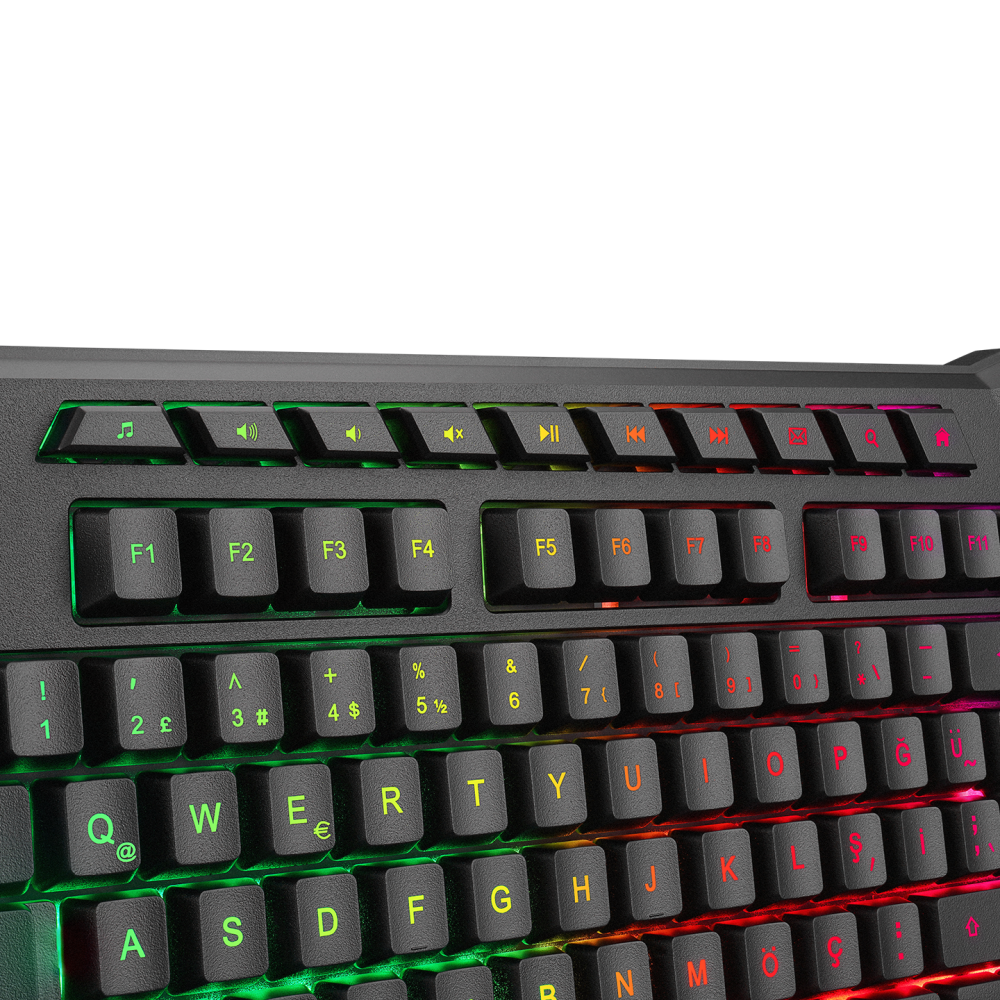 3954