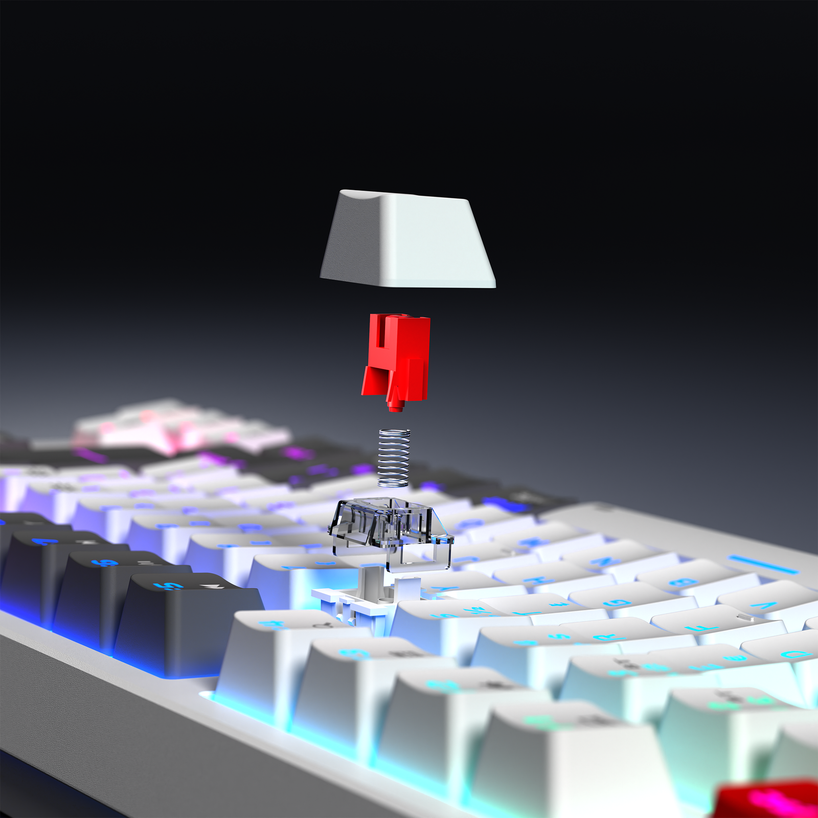 40578_08