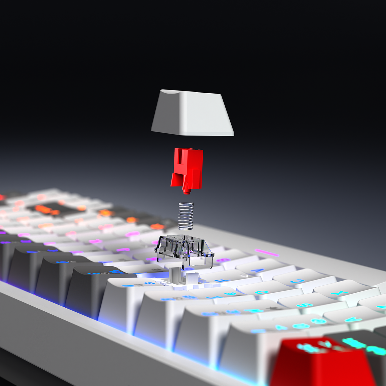 40584_03