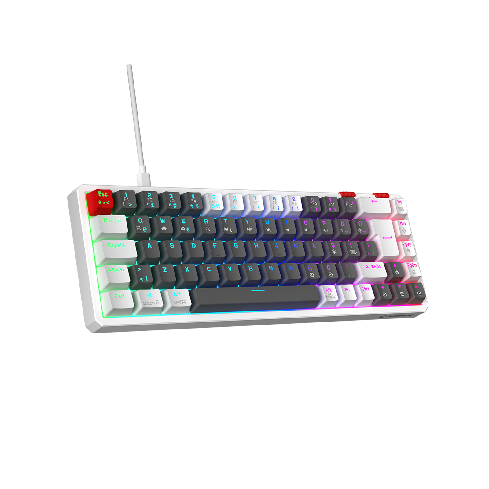 40585_00