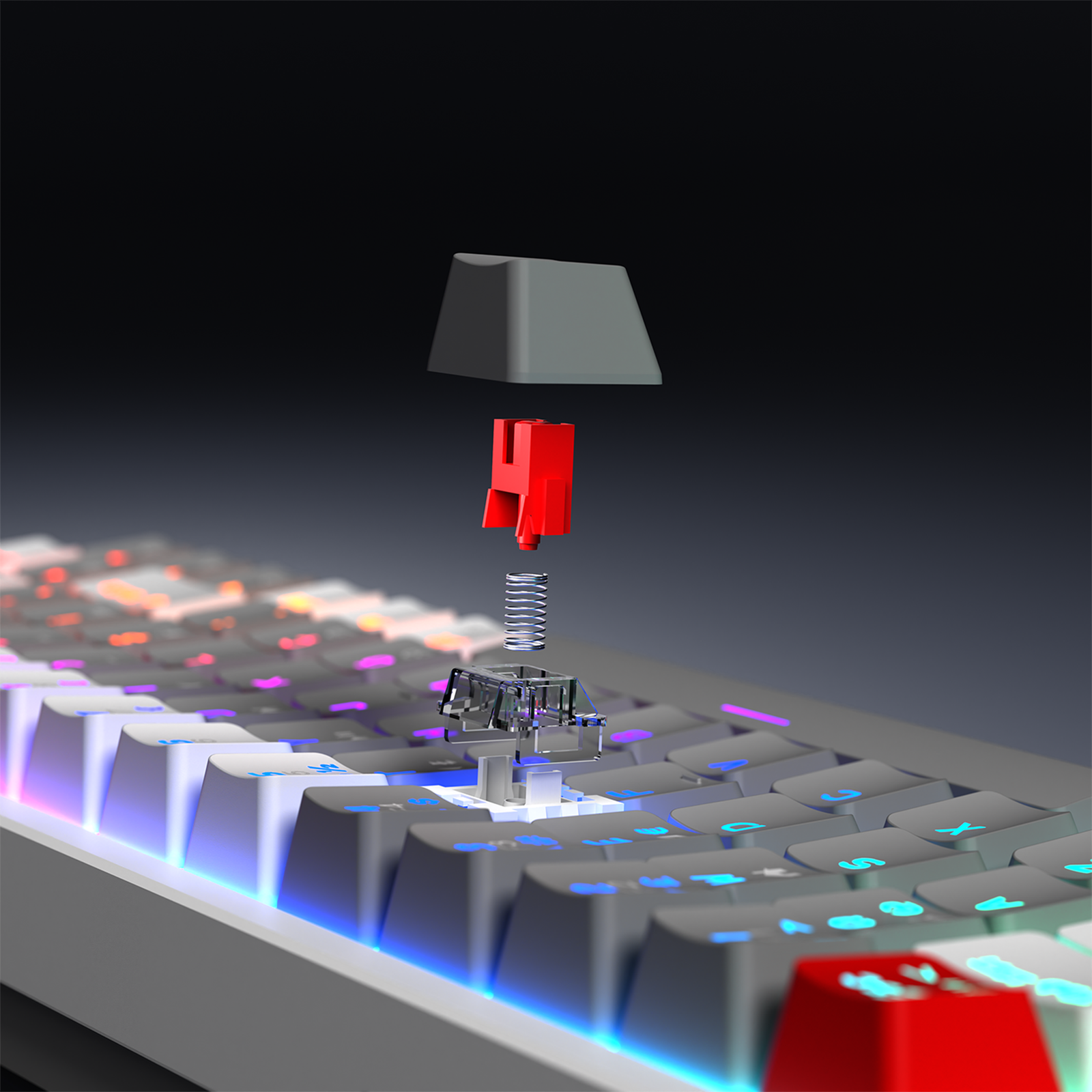40585_03