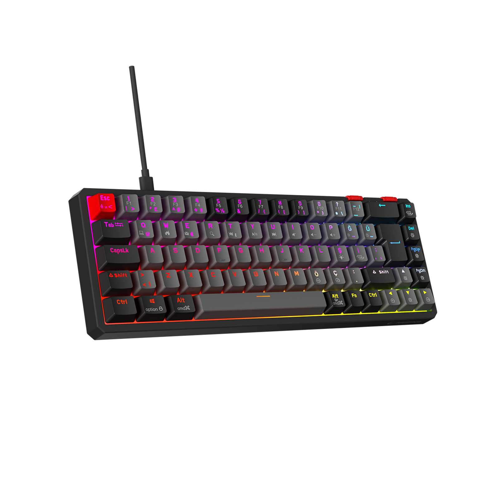 40586_00