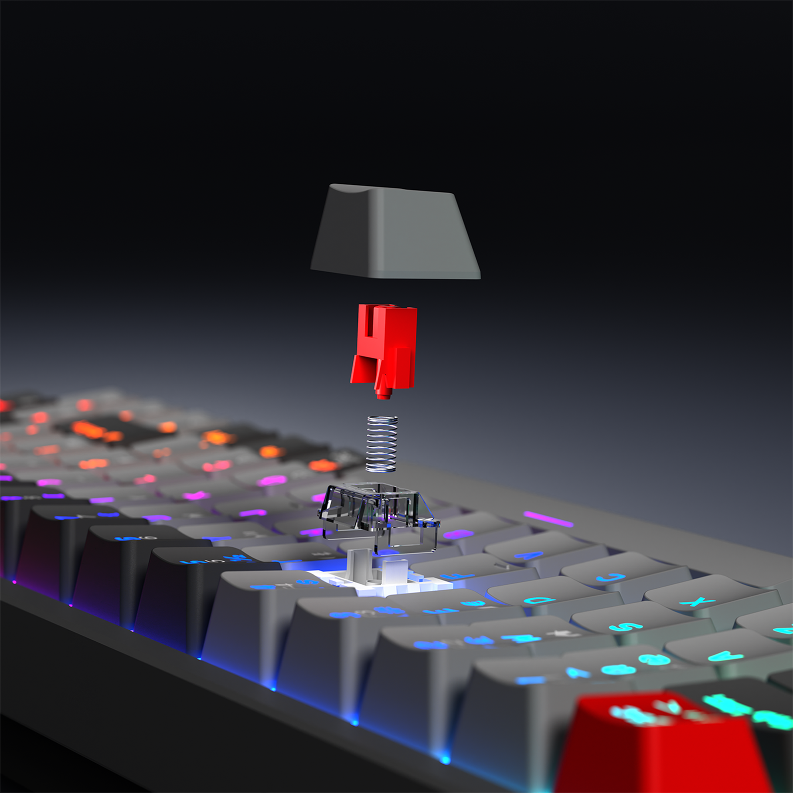 40586_03